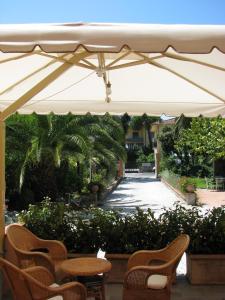 Zahrada ubytování Hotel Bellonda