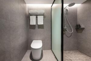 Ibis Styles Hotel - Xi'an Big Wild Goose Pagoda Historical Museum Branch 욕실