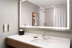 Embassy Suites by Hilton at Hot Springs Convention Center的一间浴室