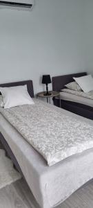 a bedroom with two beds and a table with a lamp at Garden House in Pruszcz Gdański