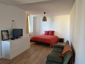 a bedroom with a bed and a tv and a couch at L appartement du château in Château-Renault