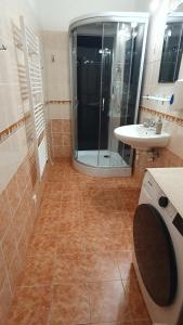 a bathroom with a shower and a sink at Apartmán Příkrá in Děčín +23 photos