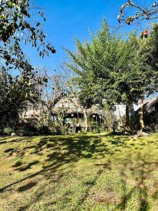 Đà Lạt Củi Homestay外面的花园