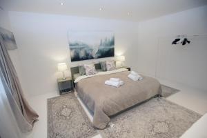 Un pat sau paturi într-o cameră la Sazava River Apartment