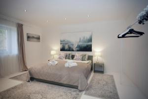 Un pat sau paturi într-o cameră la Sazava River Apartment