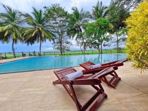 ModakandiyaFlamingo Lake Resort Tissamaharama的游泳池旁的一把躺椅 更多64张照片