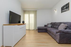 TV a/nebo společenská místnost v ubytování Apartments Ljiljana