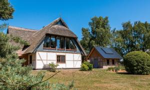 a house with a thatched roof on a field at Haus Schilfkante - Wohnung 1 in Wieck