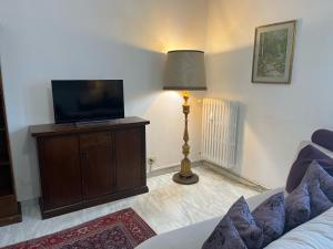 TV a/nebo společenská místnost v ubytování corte degli ulivi in roma