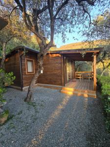 a cabin with a wooden deck and a tree at Campeggio Gianna Golfo dei Poeti in Lerici