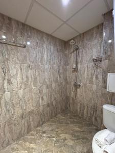 a bathroom with a shower and a toilet at Tanov Cozy Place in Blagoevgrad +12 photos