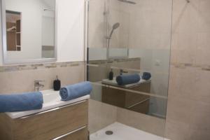 y baño con lavabo y ducha con toallas azules. en Escapade en bord de Dordogne, en Bourg-sur-Gironde