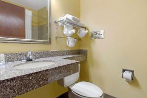 a bathroom with a toilet and a sink and a mirror at Quality Inn Williamston in Williamston +30 photos