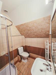 a bathroom with a toilet and a shower and a sink at Pensjonat Li-Mar in Pisz +18 photos