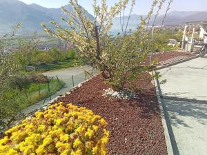 a flower garden with a tree and yellow flowers at Cà Negra Ca negra suite in Costa Volpino