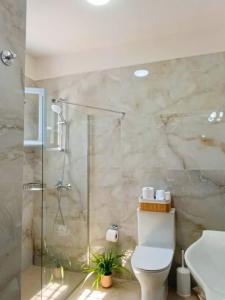 un bagno con doccia, WC e lavandino di Aroura Homes Spetses 3BR 2BA a Spetses