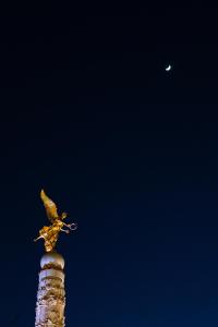 a bird perched on top of a building with a moon at Hôtel Azur in Reims