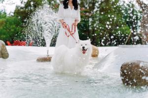 Una donna sta portando un cane bianco in acqua di Kinock a Gyeongju