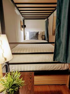 第比利斯Cosy Koala Hostel的相册照片