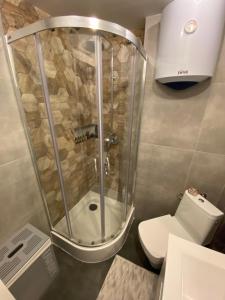 a bathroom with a shower and a toilet at Apartament Starówka in Koszalin +17 photos