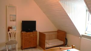 TV a/nebo společenská místnost v ubytování Ferienhaus DünenRose