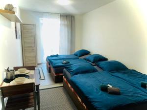 two beds in a room with blue pillows on them at Penzion Kristýna in Hrušovany nad Jevišovkou +35 photos