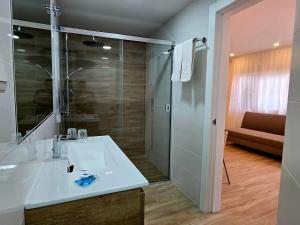 a bathroom with a sink and a glass shower at El Nogal Home in Málaga +37 photos