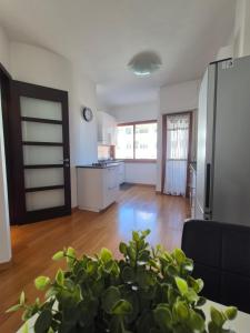 a kitchen and living room with a plant in the foreground at Casa Vacanze Chiara in Francavilla al Mare