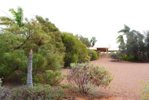 Zahrada ubytování Albert Park Motor Inn