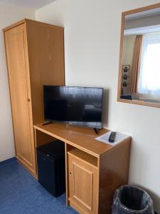TV a/nebo společenská místnost v ubytování Pension Richter