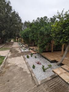 Κήπος έξω από το Mesdunes