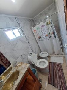 ein Badezimmer mit Toilette und Waschbecken und einem Fenster in der Unterkunft Departamento don Pedro 1 in Posadas