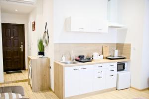 a white kitchen with a sink and a refrigerator at Studio z widokiem na rzekę in Przemyśl