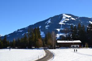 Haus Auni Metzgermeister v zime