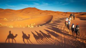 Hosté ubytování Sahara Erg Chebbi Camp