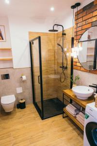 a bathroom with a shower and a toilet and a sink at Apartament Ulubiony Mariental Residence in Szklarska Poręba +30 photos