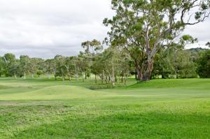 Gallery image of Baybrook Motor Inn in Muswellbrook +38 photos