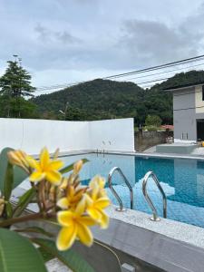 - une vue sur la piscine ornée de fleurs jaunes dans l'établissement Alva Boutique Chalet Pangkor, à Île de Pangkor