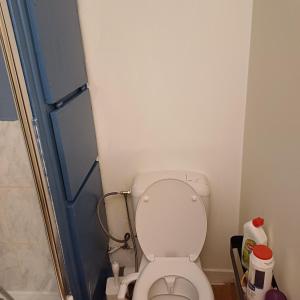 a small bathroom with a toilet and a shower at Little Verlaine in Sedan +6 photos