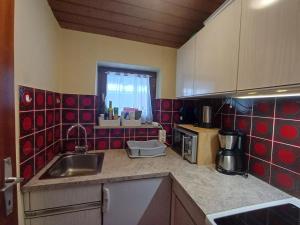 Kuhinja oz. manjša kuhinja v nastanitvi Apartment Schmid - Steinbock Lodges