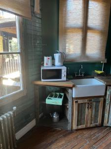 a kitchen with a sink and a microwave on a counter at mercado NL in Villa La Angostura +19 photos