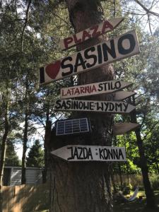 Foto sihtkohas Sasino asuva majutusasutuse Domki nad morzem Sasino Mojo Miodno Checz galeriist