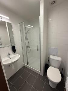 Hotel a ubytovna Zimní stadion Slaný的一间浴室