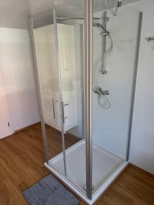 a glass shower in a bathroom with a wooden floor at Ferienwohnung Altheim in Thalheim +12 photos