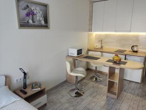 Kuchyňa alebo kuchynka v ubytovaní Apartment Kiev Studio with city view