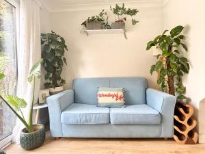 a blue couch in a living room with potted plants at Falmouth Oasis with sub-tropical garden & parking in Falmouth