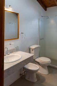 Un baño con lavabo, inodoro y espejo. en Hostería Cumbres Blancas, en Esquel