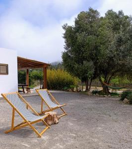 Imagine din galeria proprietății Sa Vinya Casa de Campo în Es Cubells