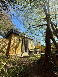 a small wooden house with a chair and a tree at Acorn Lodge Pentewan in St Austell