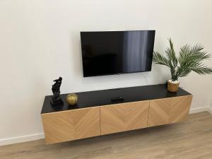 a entertainment center with a television on a wall at Apartamento Vinoble Jerez in Jerez de la Frontera